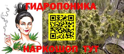 дмт Бердск