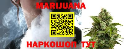 дмт Бердск