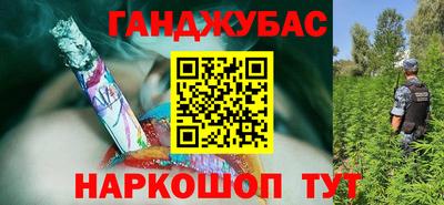 дмт Бердск