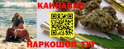 дмт Бердск
