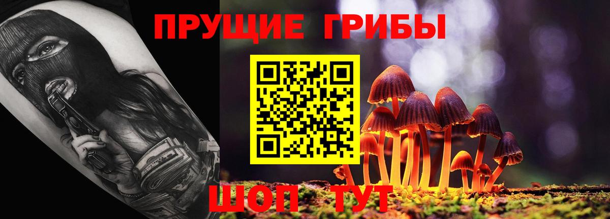 Псилоцибиновые грибы Magic Shrooms  Вход с VPN  Гурьевск 